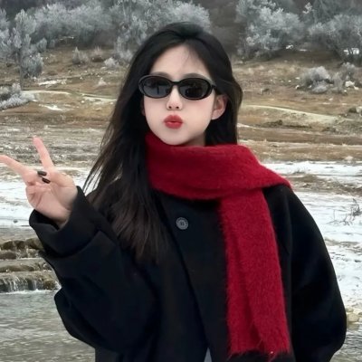 国民安保官之绝命护卫